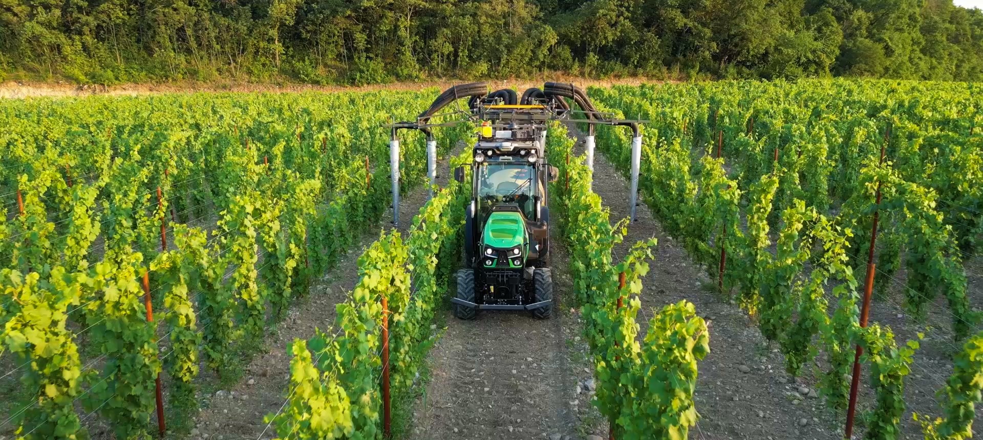 DF_5 DS TTV - Smart Vineyard Tractor_pic_ok_2.jpg